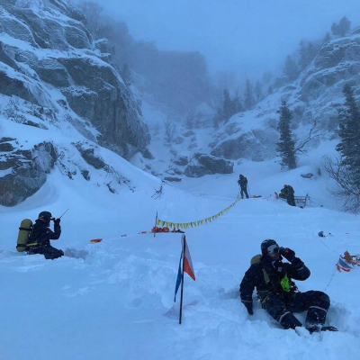Сибиряки обсудили, могут ли Усольцевы прятаться в лесу
