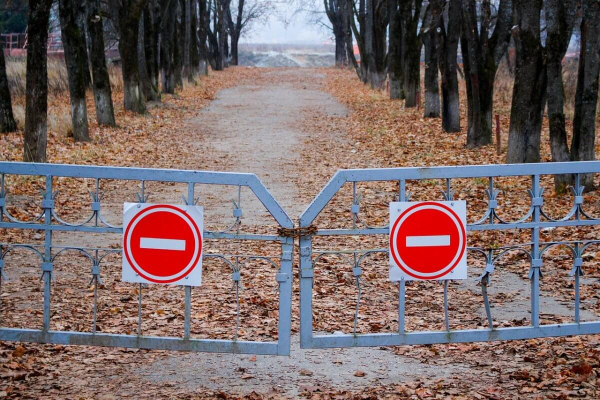 Жажда селфи с крокодилом привела туриста к западне