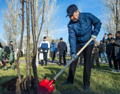 Мажилисмены высадили 300 деревьев в рамках акции «Таза Қазақстан»