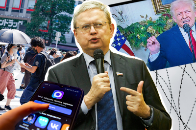 В&nbsp;Госдуму внесли законопроект для защиты от&nbsp;&laquo;эффекта Долиной&raquo;