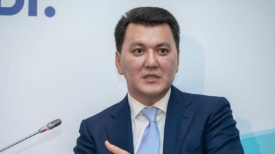 Год с законом о борьбе с бытовым насилием: Ерлан Карин о результатах