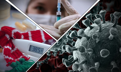 Independent: в Бангладеш скончалась женщина, заразившаяся вирусом Нипах