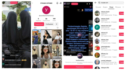 Заблокировать TikTok в Казахстане требует депутат