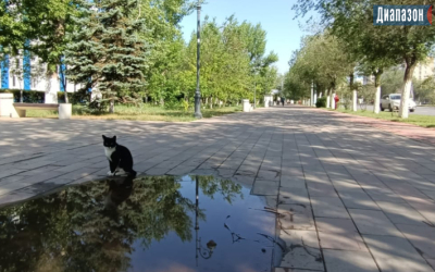 Погода в Актобе на 11-13 июня