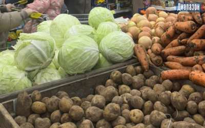Производство продуктов питания увеличилось в Казахстане