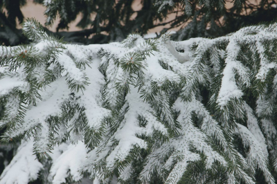 МЧС призвал соблюдать пожарную безопасность в связи с резким похолоданием