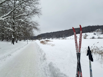 На Омск надвигается мощное потепление: синоптики озвучили прогноз