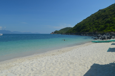 В Шотландии 55 китов выбросились на берег из-за тяжелых родов самки