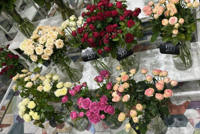 Тюльпаны бьют рекорды: неожиданный прогноз цен на главный женский праздник